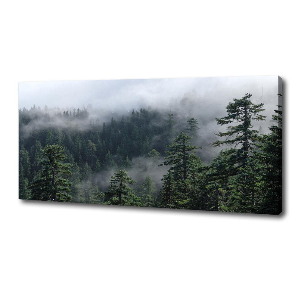 Foto obraz canvas Leśna mgła