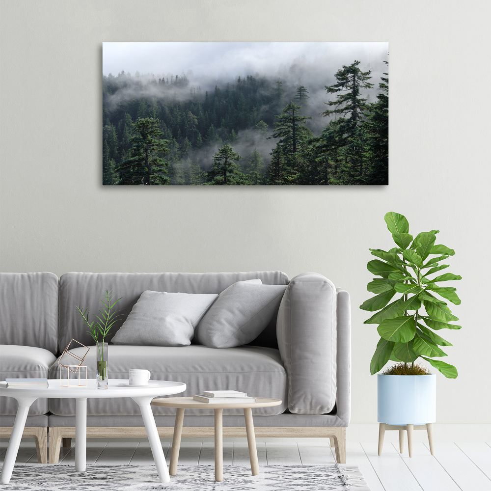 Foto obraz canvas Leśna mgła