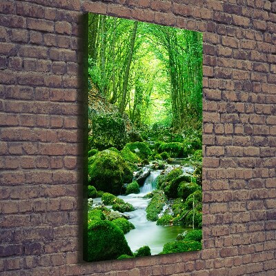 Foto obraz na płótnie pionowy Potok w dżungli