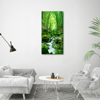 Foto obraz na płótnie pionowy Potok w dżungli