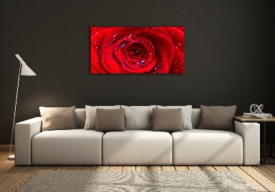 Foto obraz szkło hartowane Kwiat róży
