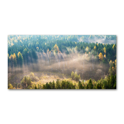 Foto obraz szkło hartowane Mgła w lesie