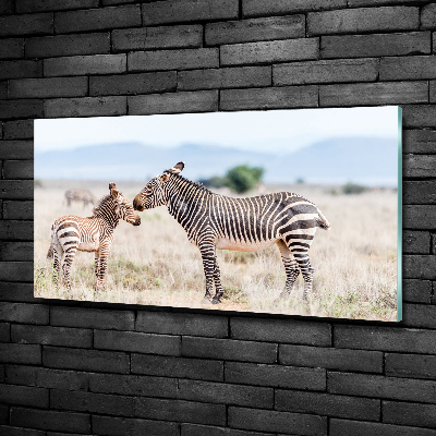 Foto-obraz szkło hartowane Zebry w górach