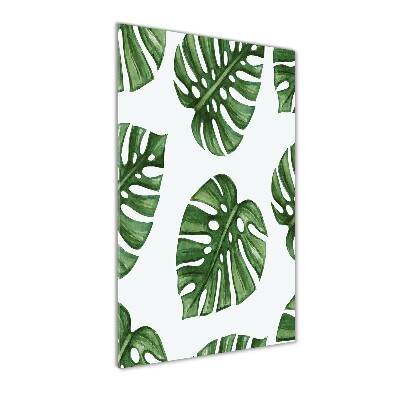 Foto-obraz szkło hartowane Monstera