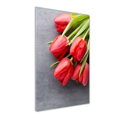 Foto obraz na szkle Czerwone tulipany