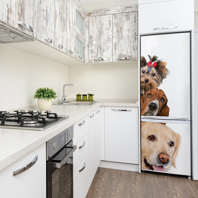 Foto Naklejka na lodówkę ścianę Psy i koty