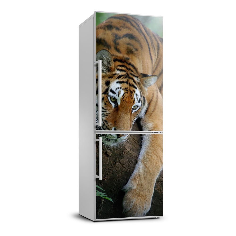 Foto Naklejka na lodówkę Tygrys na drzewie