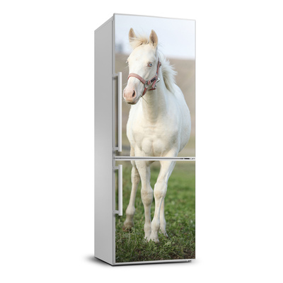 Foto okleina na lodówkę Koń albinos