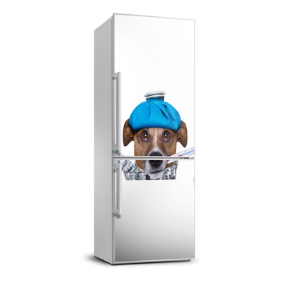 Foto Naklejka na lodówkę ścianę Chory pies
