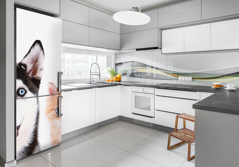 Foto Naklejka na lodówkę ścianę Pies i kot