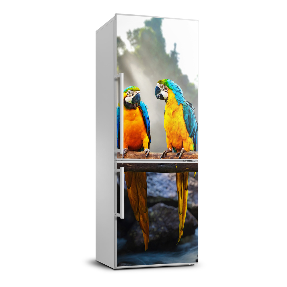 Foto Naklejka na lodówkę ścianę Papugi Ary