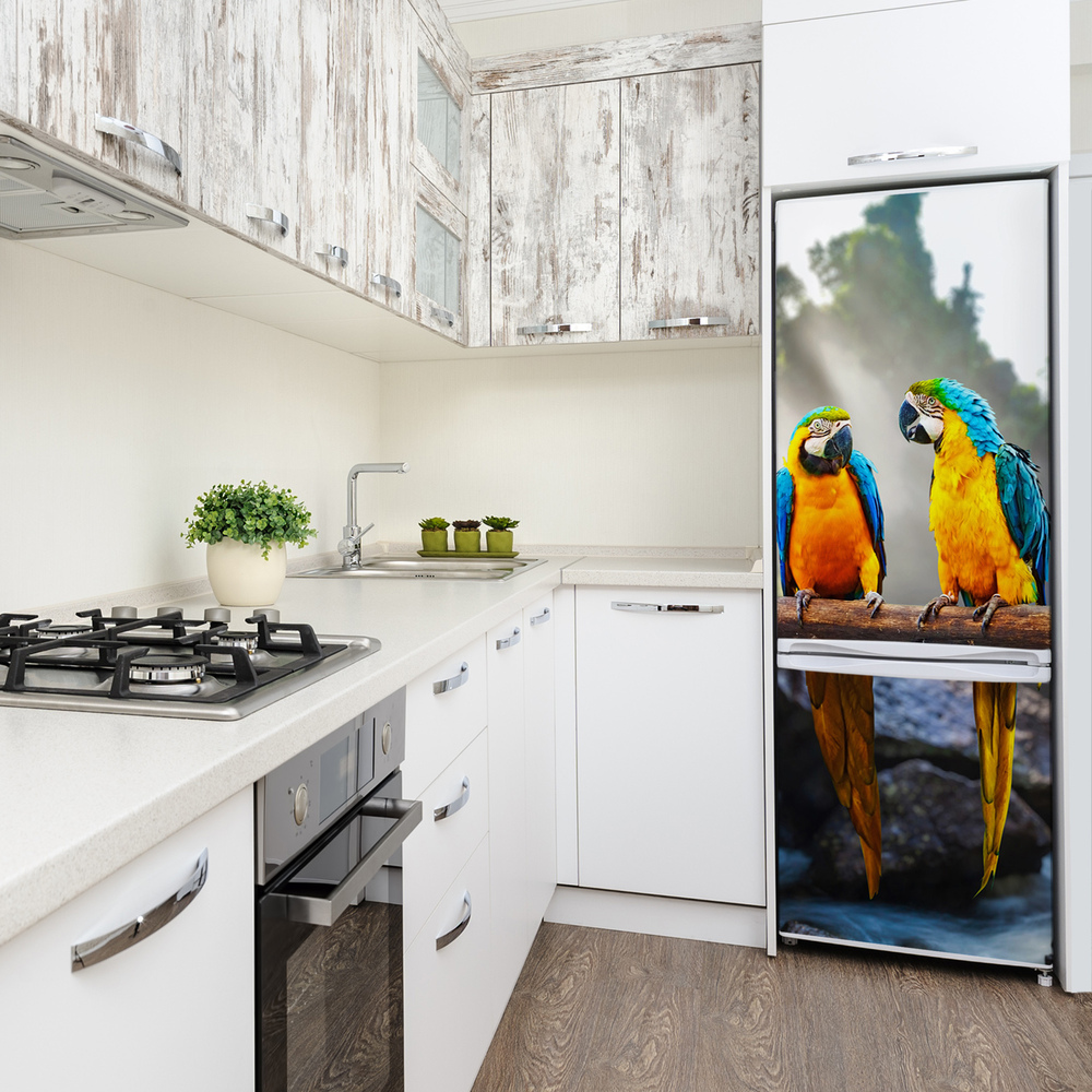 Foto Naklejka na lodówkę ścianę Papugi Ary