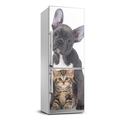 Foto Naklejka na lodówkę ścianę Pies i kot