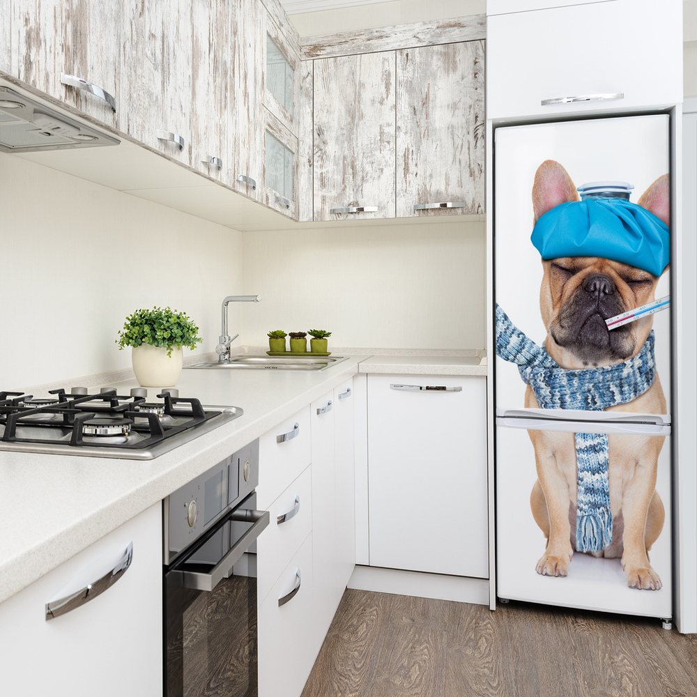 Foto Naklejka na lodówkę ścianę Chory pies