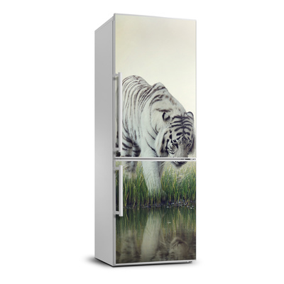 Naklejka samoprzylepna na lodówkę Biały tygrys