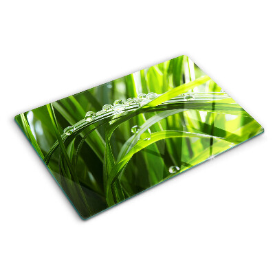 Szklana deska kuchenna z wzorem kropli wody na trawie