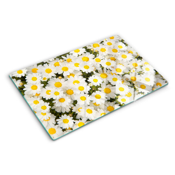Szklana deska kuchenna ze wzorem stokrotek na białym tle