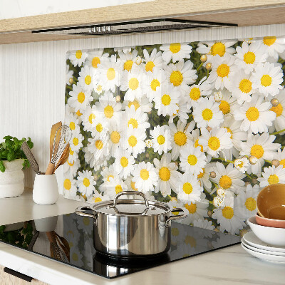 Szklana deska kuchenna ze wzorem stokrotek na białym tle