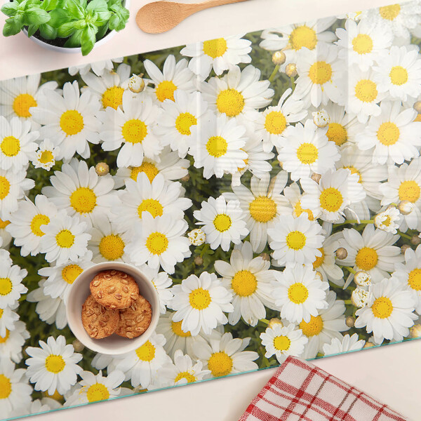 Szklana deska kuchenna ze wzorem stokrotek na białym tle