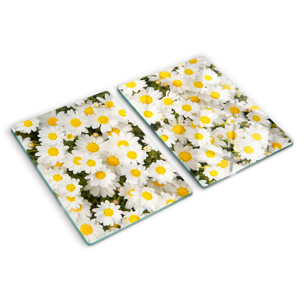 Szklana deska kuchenna ze wzorem stokrotek na białym tle