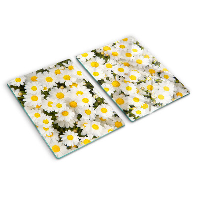 Szklana deska kuchenna ze wzorem stokrotek na białym tle