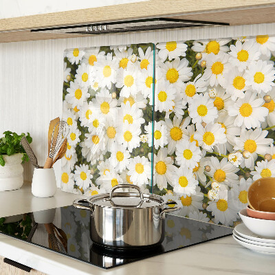 Szklana deska kuchenna ze wzorem stokrotek na białym tle