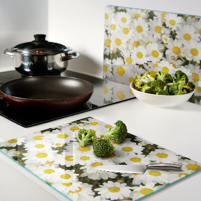 Szklana deska kuchenna ze wzorem stokrotek na białym tle