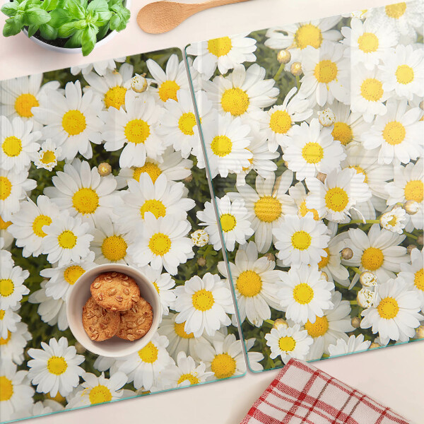 Szklana deska kuchenna ze wzorem stokrotek na białym tle