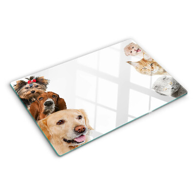 Szklana deska kuchenna z nadrukiem przedstawiającym psy i koty w różnych pozach