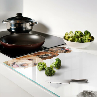 Szklana deska kuchenna z nadrukiem przedstawiającym psy i koty w różnych pozach