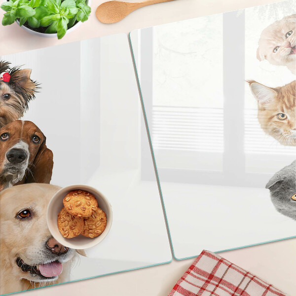 Szklana deska kuchenna z nadrukiem przedstawiającym psy i koty w różnych pozach