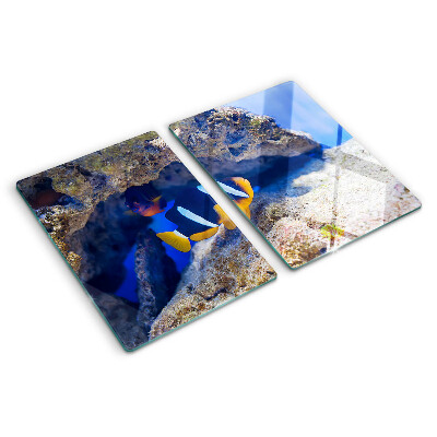Deska kuchenna szklana z nadrukiem rybki na tle rafy koralowej
