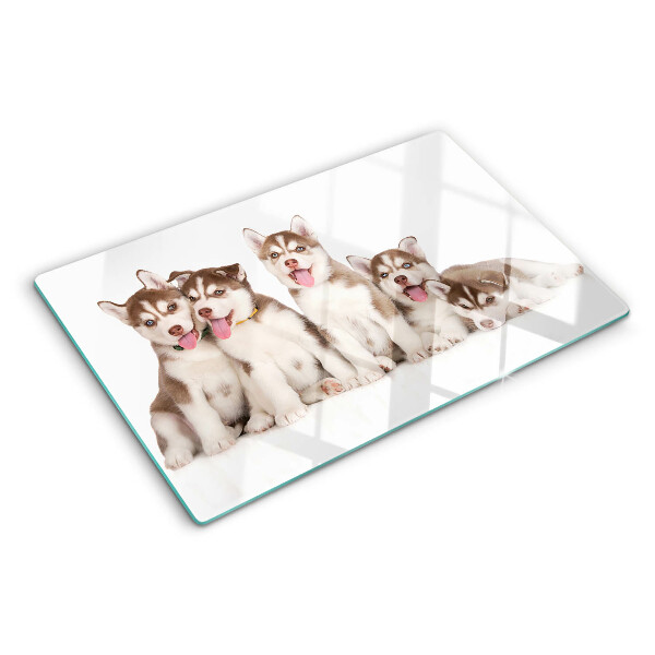 Szklana deska kuchenna z motywem szczeniaków husky