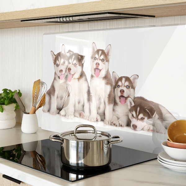 Szklana deska kuchenna z motywem szczeniaków husky