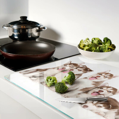 Szklana deska kuchenna z motywem szczeniaków husky