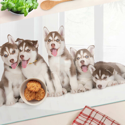 Szklana deska kuchenna z motywem szczeniaków husky