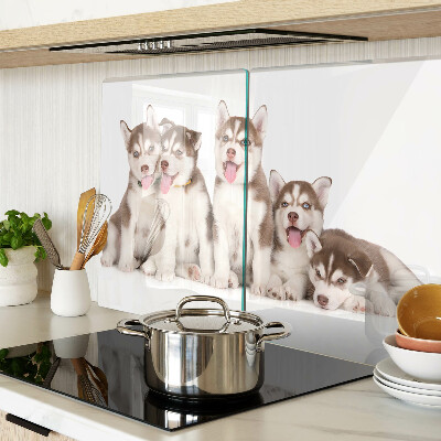 Szklana deska kuchenna z motywem szczeniaków husky