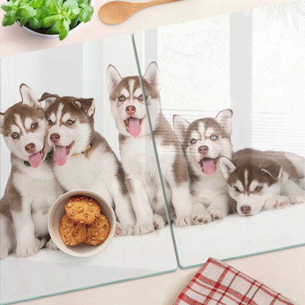 Szklana deska kuchenna z motywem szczeniaków husky