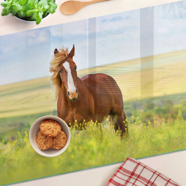 Szklana deska kuchenna z motywem konia na łące