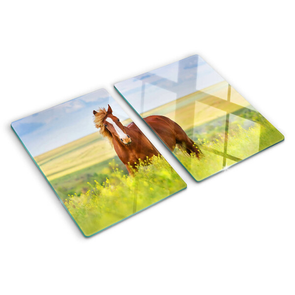 Szklana deska kuchenna z motywem konia na łące