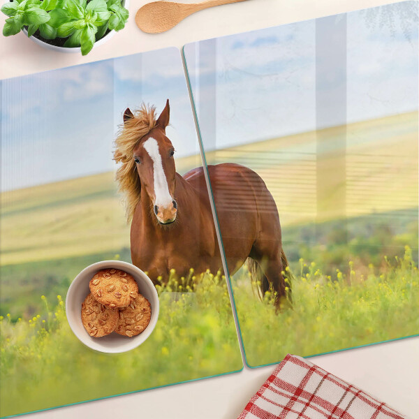 Szklana deska kuchenna z motywem konia na łące