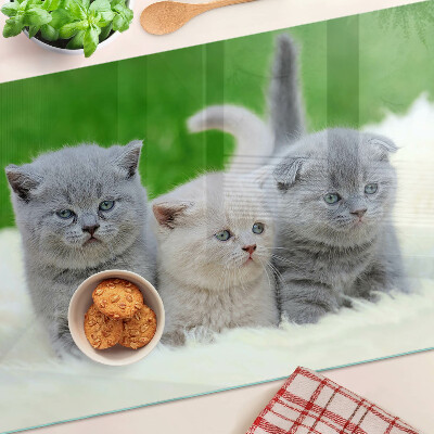 Szklana deska do krojenia z nadrukiem kociąt na zielonym tle