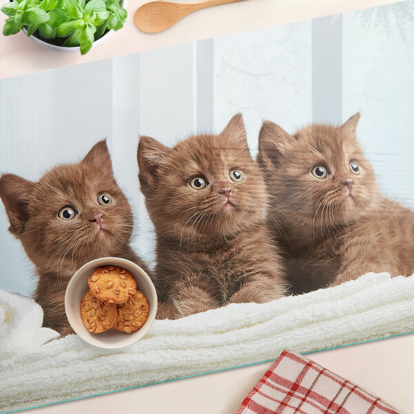 Deska kuchenna szklana z motywem trzech brązowych kotów