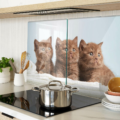 Deska kuchenna szklana z motywem trzech brązowych kotów