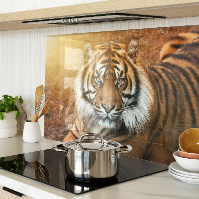 Szklana deska do krojenia z nadrukiem przedstawiającym tygrysa w promieniach słońca