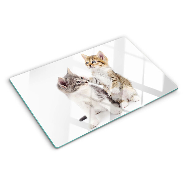 Deska kuchenna szklana z motywem kotów na białym tle