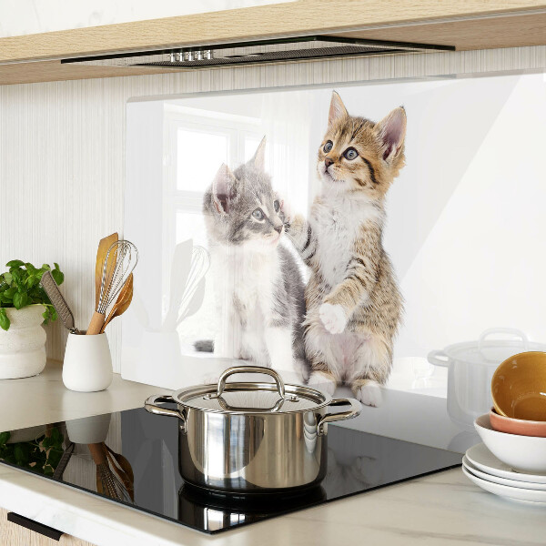 Deska kuchenna szklana z motywem kotów na białym tle