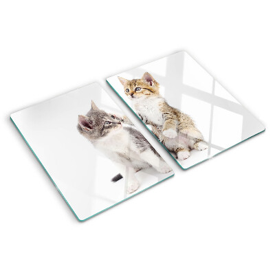 Deska kuchenna szklana z motywem kotów na białym tle