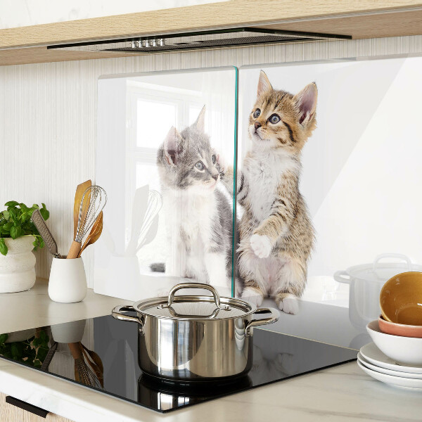 Deska kuchenna szklana z motywem kotów na białym tle