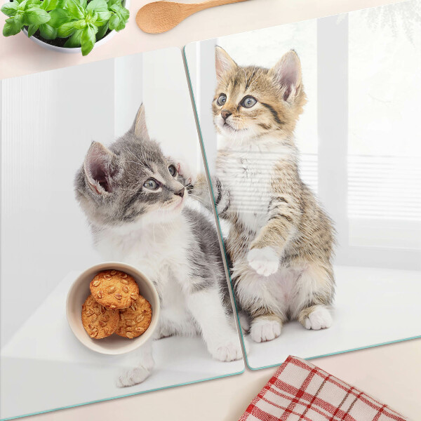 Deska kuchenna szklana z motywem kotów na białym tle